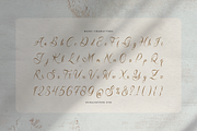 Del Lante Elegant Calligraphy Script, a Script Font by gracetype_studio (Thumbnail 10 of 12)