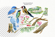 Watercolor Birds Clipart, an Animal Illustration by OllyKo Art (Thumbnail 2 of 7)