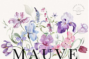Mauve - Iris Floral Flower Design, a Decorative Illustration by Veris Studio (Thumbnail 1 of 17)