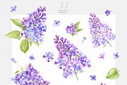 Watercolor Lilac Floral Clipart, a Decorative Illustration by ReachDreams (Thumbnail 2 of 10)