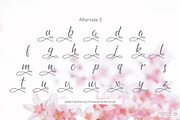 Cherish Modern Script Font Set, a Script Font by TrimStudio (Thumbnail 10 of 11)