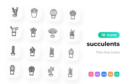 Succulents 16 Thin Line Icons Set