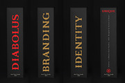 Diabolus - Serif Font Family, a Serif Font by Artistic & Unique (Thumbnail 14 of 14)