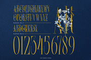 Srolemo Typeface, a Serif Font by alit design (Thumbnail 16 of 17)