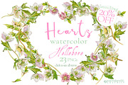 BUNDLE PINK FLOWERS-85%, an Illustration by watercolorwild.graphics (Thumbnail 10 of 11)