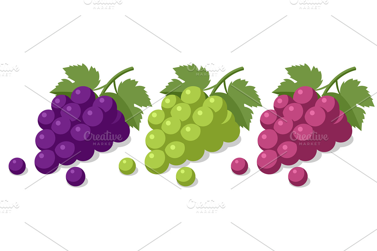 Isometric vector set of purple, a Food Illustration by Golden Sikorka