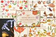 Vintage Bundle – 60% Off! – 21 Packs, an Object Graphic by The Object Atlas (Thumbnail 21 of 26)