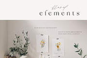 Flower Garden watercolor collection, a Decorative Illustration by Diana Askarova Art (Thumbnail 7 of 11)