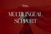 Halina Elegant Ligature Serif, a Serif Font by Alfinart (Thumbnail 10 of 10)
