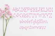 Flower Font, a Handwritten Font by LivelyAutumn11.11 (Thumbnail 2 of 4)