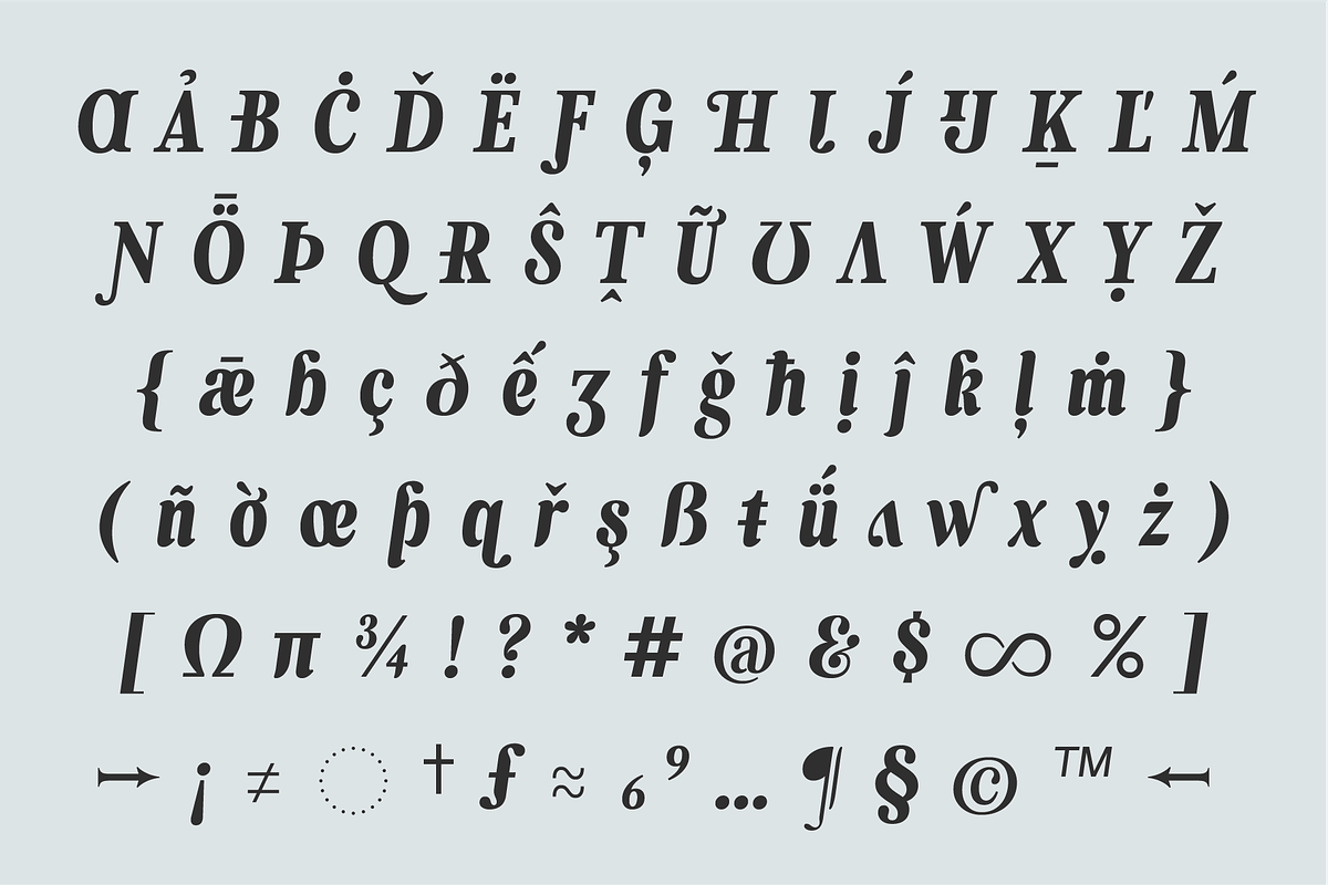 Levino Font Family, a Font by Punch (Photo 10 of 10)