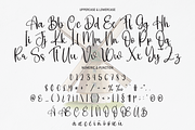 Amsterdam | Script Font, a Script Font by Scratchones (Thumbnail 6 of 8)