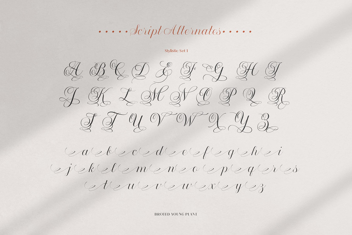 Broted Young Plant Font Duo, a Sans Serif Font by alit design (Photo 6 of 20)