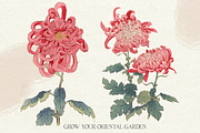 Ikigai Oriental Vintage Design Set, an Object Graphic by Beauty Drops (Thumbnail 5 of 12)