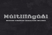 Monarch North Line Hatch Font, a Slab Serif Font by Parker Creative (Thumbnail 8 of 8)