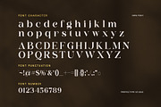 Bagila Elegant Serif Font, a Serif Font by Perfectype (Thumbnail 7 of 8)