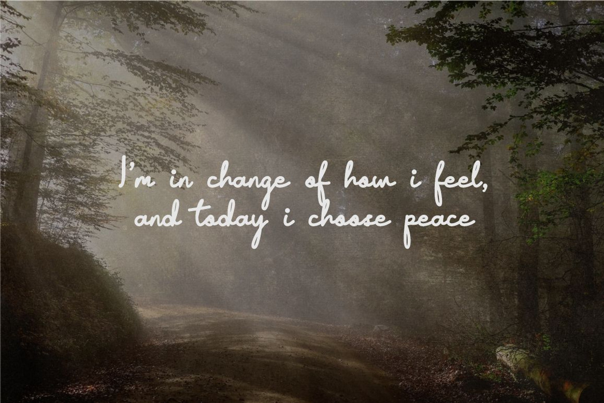 Xilent Sheet Script Font, a Script Font by JNJ Studio (Photo 6 of 10)