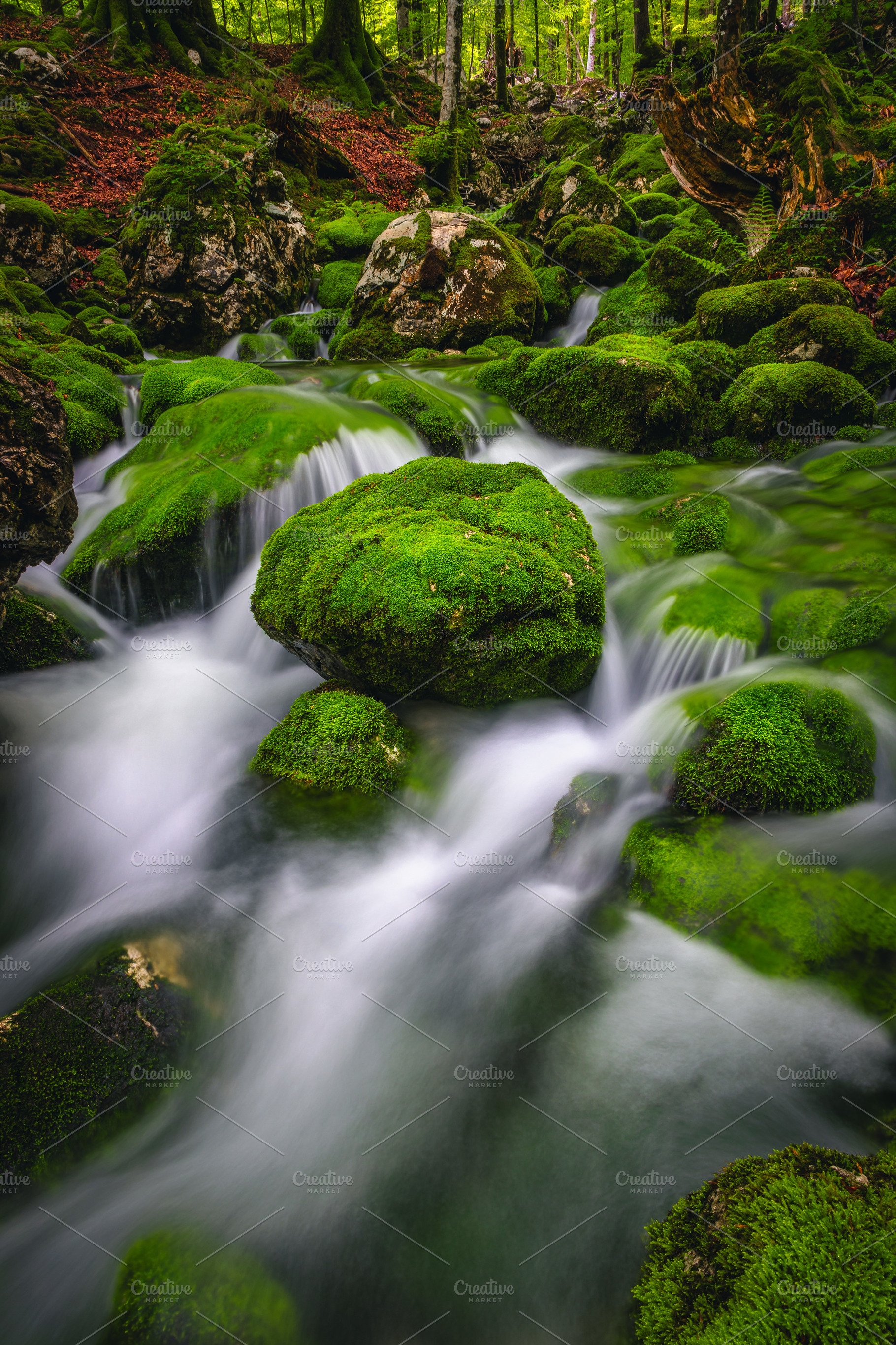 Stunning woodland source and cascade, a Nature Photo by Alpine Dreams