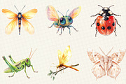 Watercolor Bugs Sublimation Clipart, an Illustration by OK Design (Thumbnail 4 of 5)