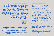 Karl Sirka, a Script Font by Colllab Studio (Thumbnail 17 of 18)
