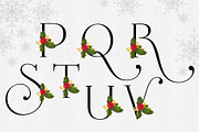 Holiday Alphabet Design Set, a Decorative Illustration by Maggie Stilwell Design (Thumbnail 9 of 10)