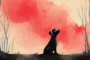 Dog sits under a red sky, a Photo by Beautiful things