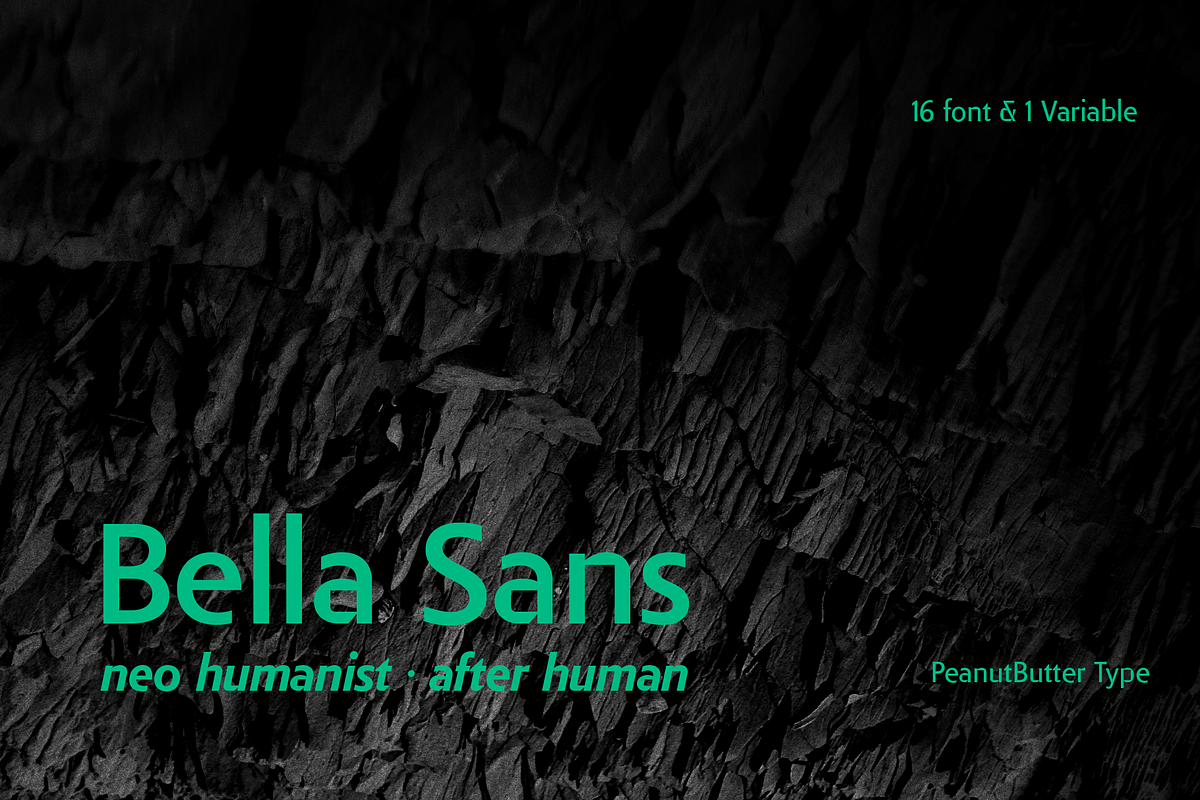 Bella Sans (family font), a Sans Serif Font by PeanutButter Type (Photo 1 of 18)