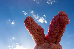 Decorative bunny ears made of pink artificial flowers with a blu, a Nature Photo by Ales Munt