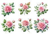 Watercolor Roses Clipart Blush Flora, an Illustration by Designworld (Thumbnail 3 of 6)