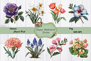 70 Flower Clipart Images, a Decorative Illustration by Paper Addiction Prints (Thumbnail 3 of 10)