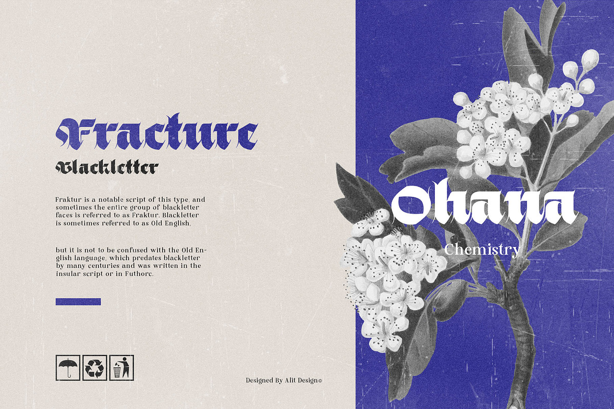 Black Obesity Blackletter Font, a Blackletter Font by alit design (Photo 10 of 17)