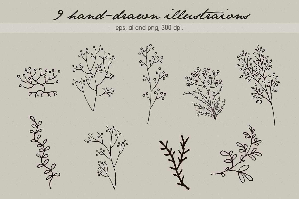 Ink illustrations, an Animal Illustration by Elisa Ursa (Photo 3 of 6)