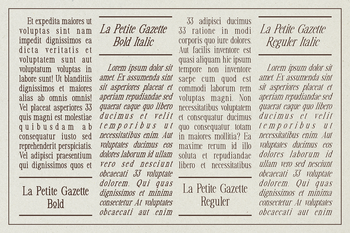 La Petite Gazette - Serif Typeface, a Serif Font by takoliko (Photo 2 of 12)