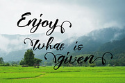 nidewoof Font, a Script Font by marone (Thumbnail 5 of 5)