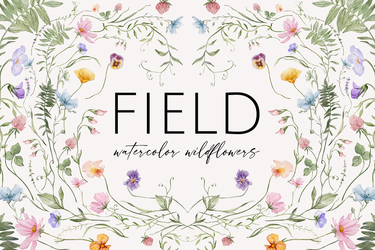 field watercolor wildflowers