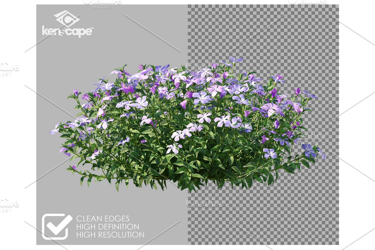 81 Assorted Plants Photo Overlays, a Nature Photo by KenScape (Photo 2 of 3)