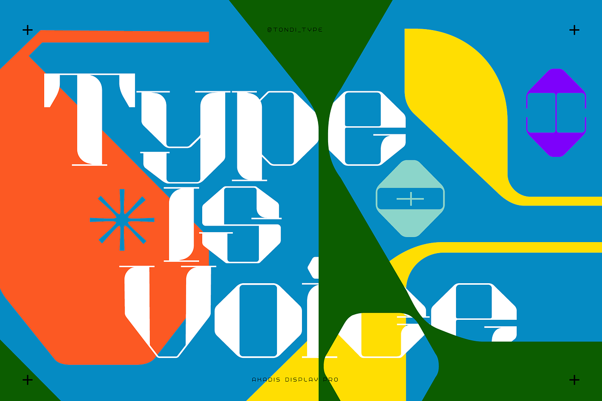 Akadis Neue - Contemporary Serif, a Serif Font by Tondi Type Studio (Photo 4 of 19)