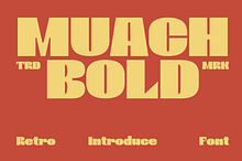 Muach Bold – Retro Display Font