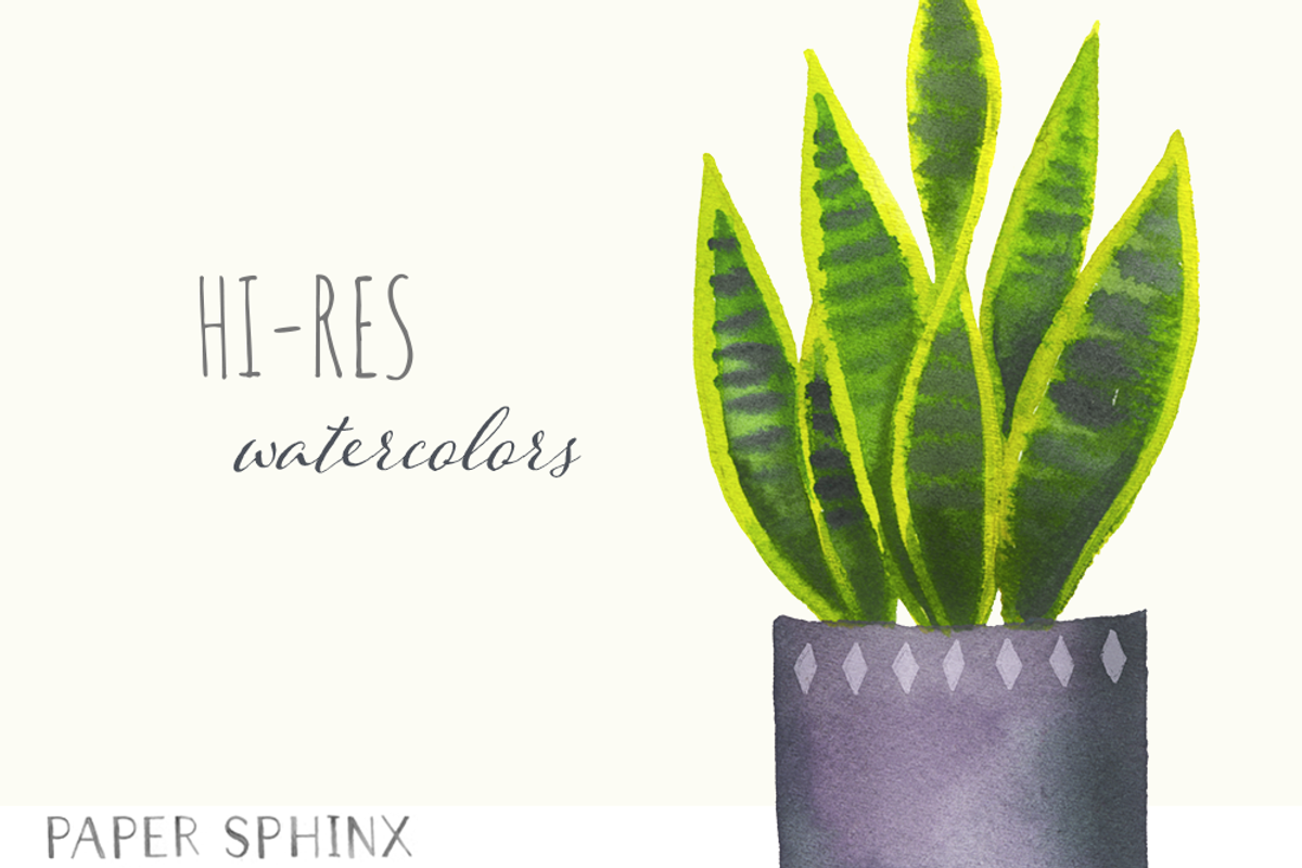 Watercolor House Plants Clipart, an Illustration by PaperSphinx (Photo 2 of 3)