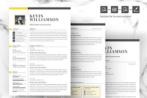 Professional 3 Page Resume Template