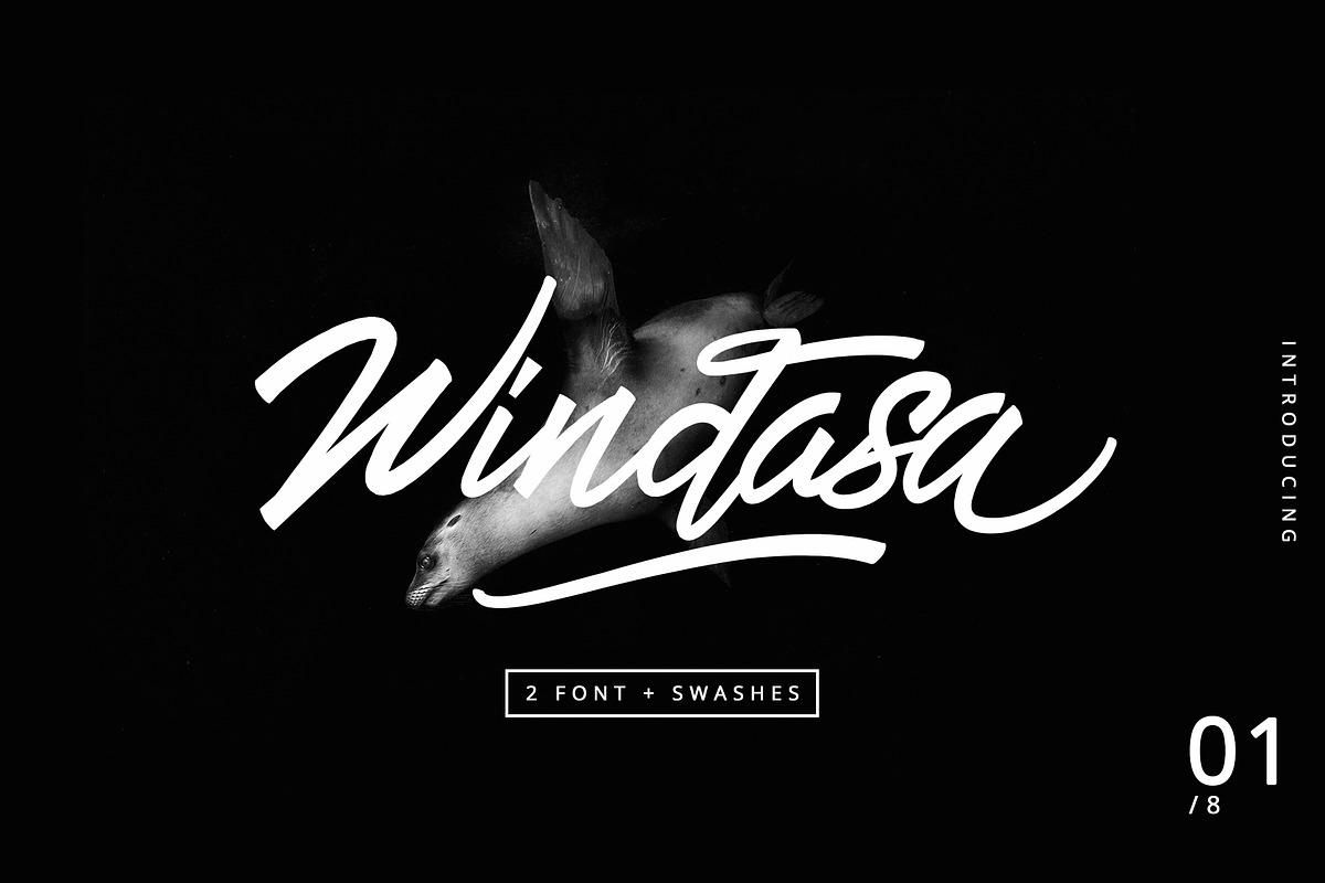 Windasa font
