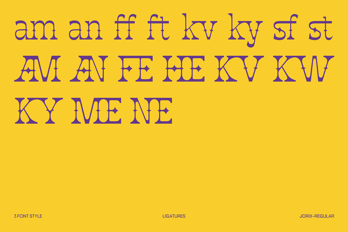 Jorix – Fluid Experimental Font, a Serif Font by Casloop Studio (Photo 7 of 10)