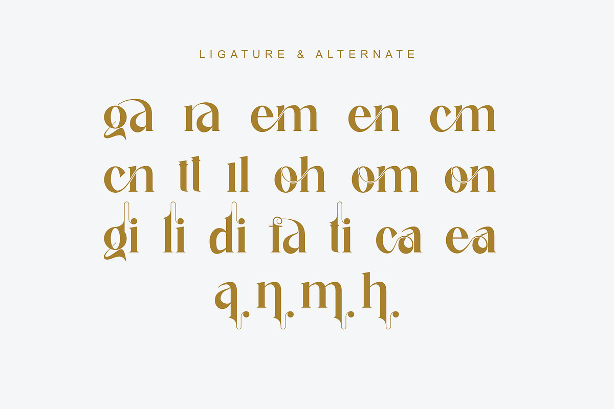 galink Modern Ligature Serif, a Serif Font by Humaira_std (Photo 10 of 10)