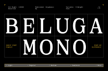 GC Beluga Mono - Elegant Modern Mono
