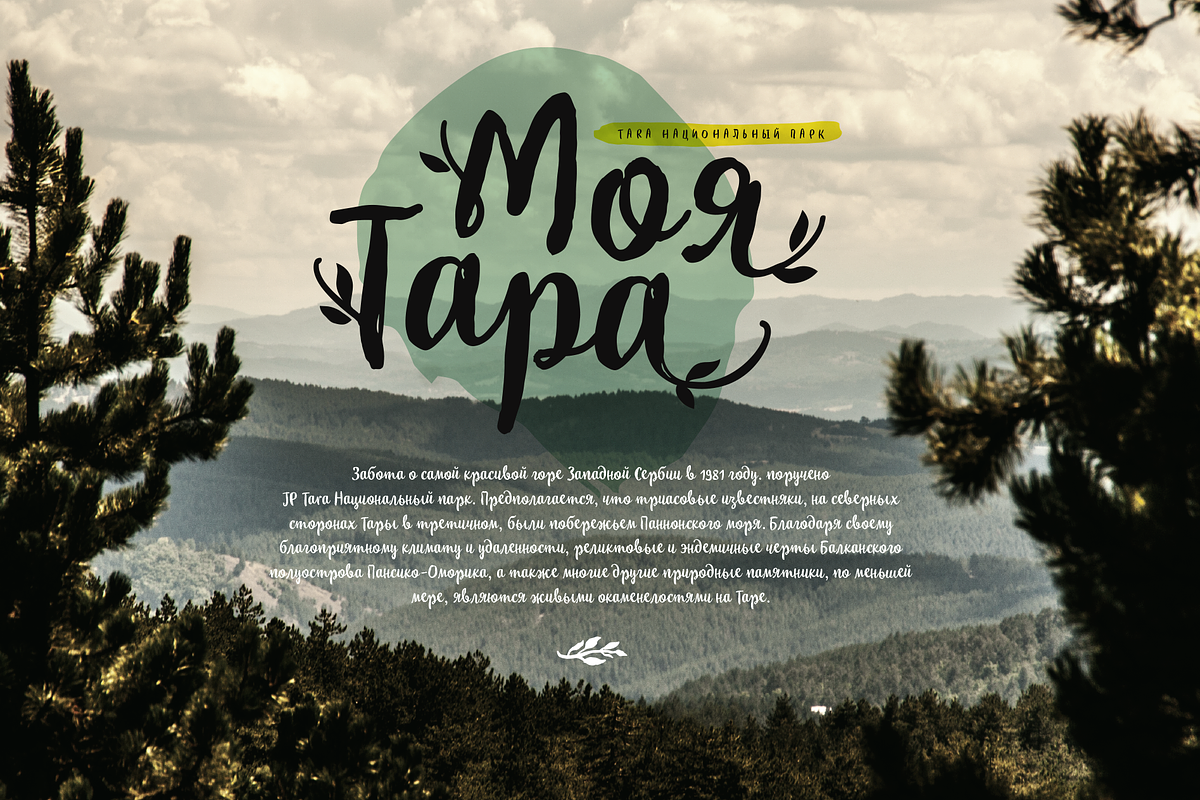My Tara preview 3