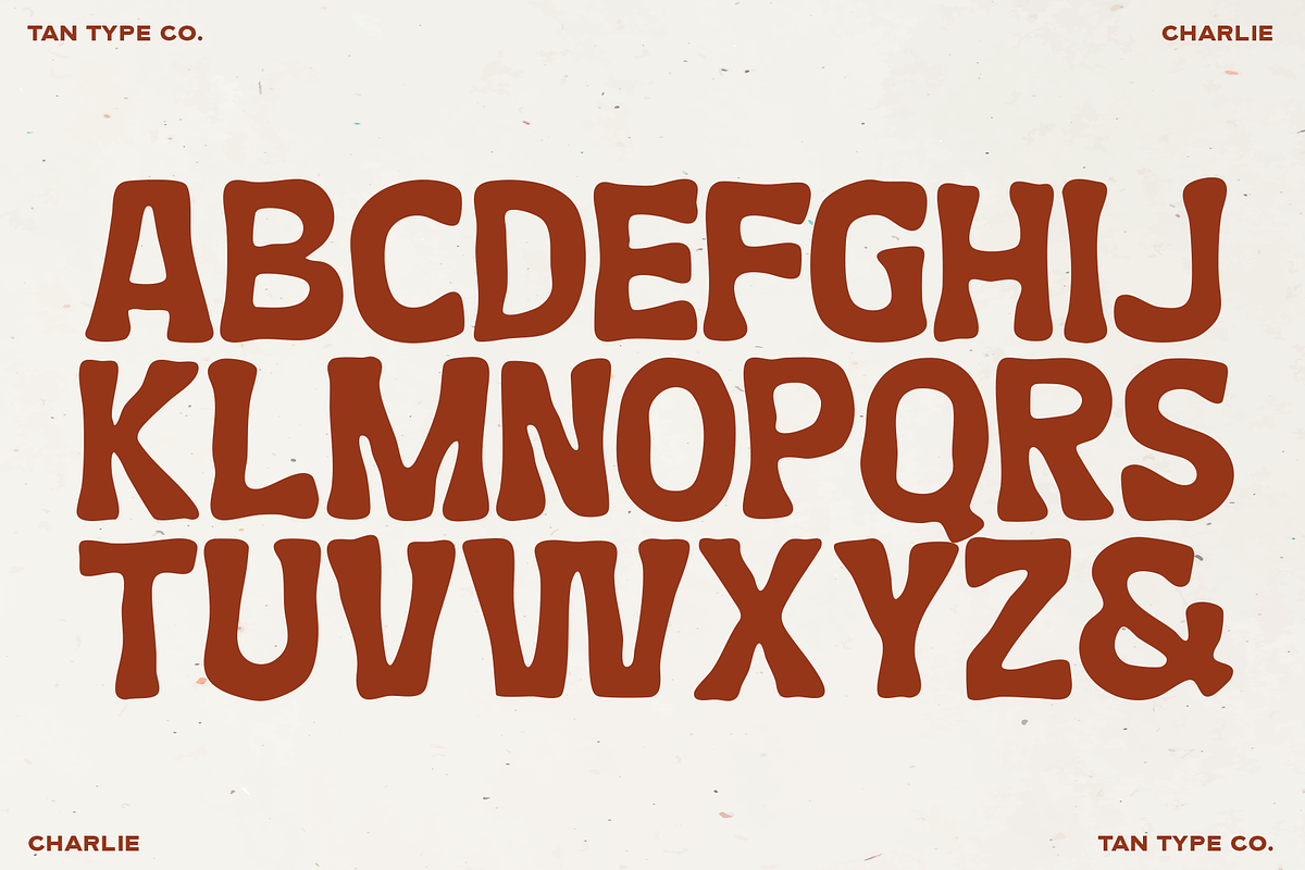 TAN - CHARLIE, a Handwritten Font by TanType (Photo 8 of 14)