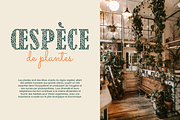 Botany Festival, a Serif Font by LoneArmy (Thumbnail 7 of 10)