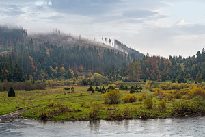 Foggy and overcast autumn day in Carpathian Mountains. Rika rive, a Nature Photo by YuriyB