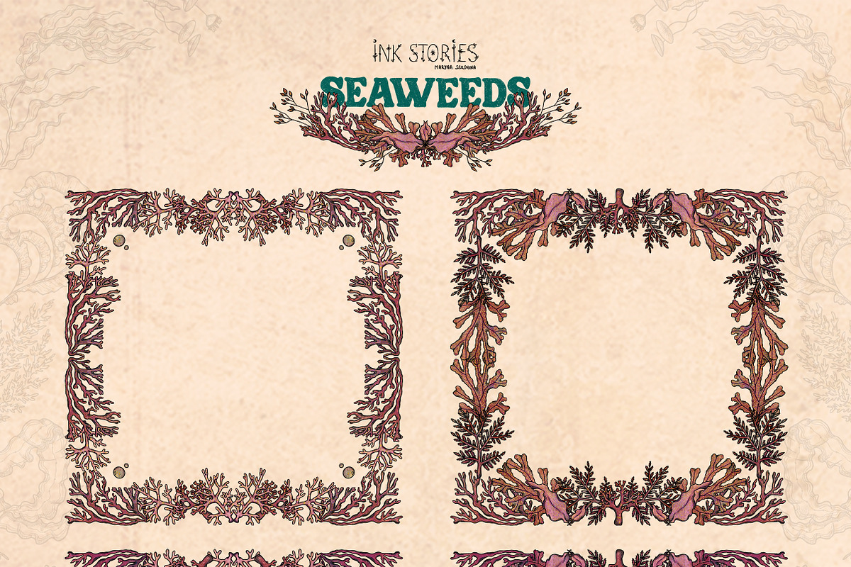 Seaweeds, an Object Illustration by Ink Stories (Photo 12 of 24)