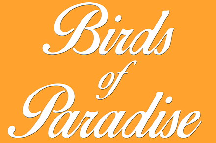 Birds of Paradise ©, a Script Font by Script-house